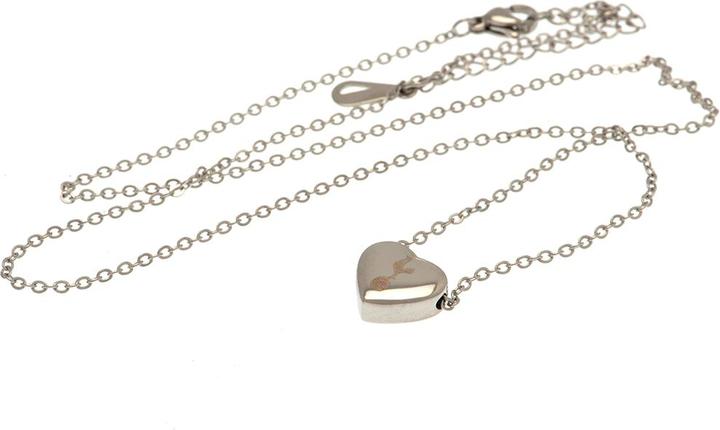 Image du produit Tottenham Hotspur FC CoeurCollier et pendentif en acier inoxydable (Matériau 100% synthétique)