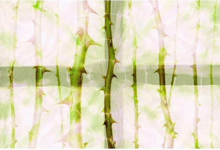 Immagine prodotto Architects Paper Studio 47 Thorn Art Nature (400 x 270 cm)