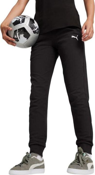 Actual product image Puma teamGOAL Casuals Pants Wmn (XXL)