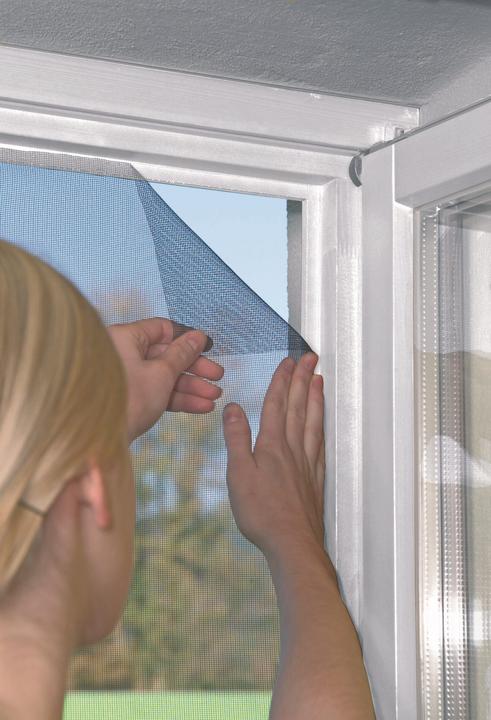 Produktbild Windhager Standard Fliegengitter (100 x 100 cm)
