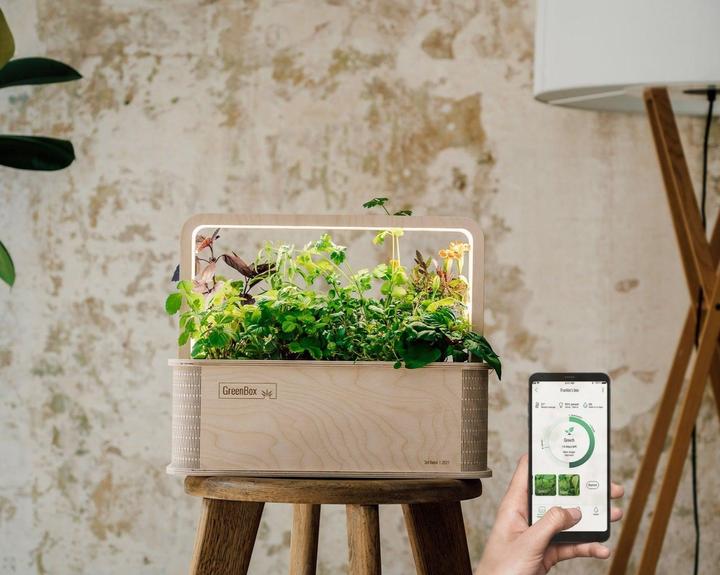 Image du produit BerlinGreen GreenBox Great Variety Bundle