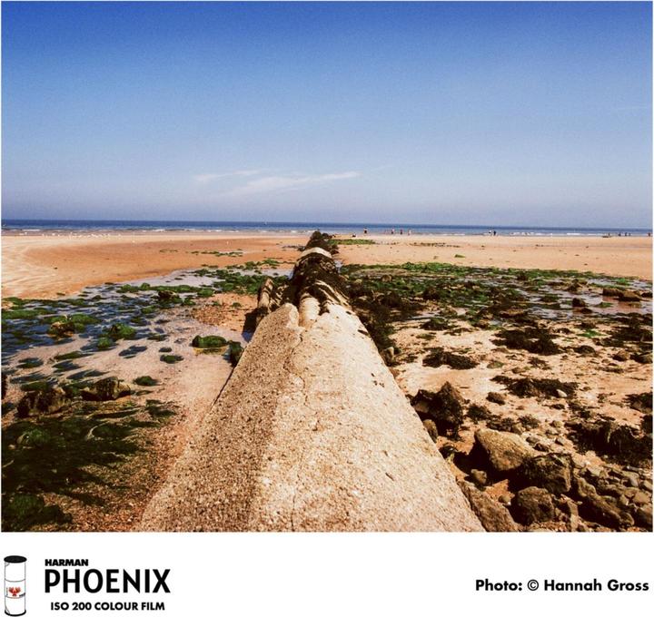 Immagine prodotto Harman Photo PHOENIX 200 120