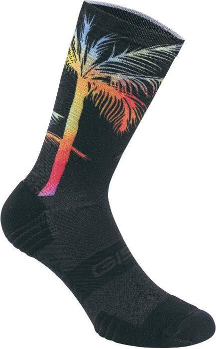 Gist Palm (43, 47)
