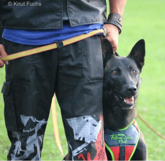 Produktbild Niggeloh Führgeschirr Follow Sport Plus XL (M, L, XL, Hund, Hundesport)
