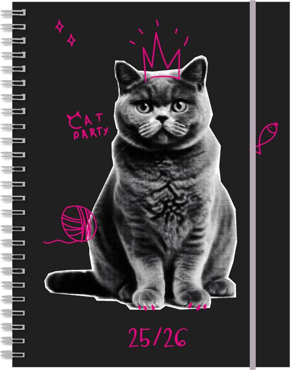 Immagine prodotto Simplex Schüleragenda Touch 25/26 500431.26 1W/2S 17M Cat ML 12x16.5cm (12 x 16,5 cm, Reto-Romanico, Tedesco, Francese, Italiano)