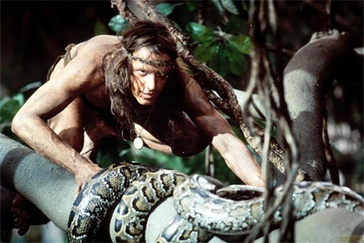 Immagine prodotto Plaion Greystoke - La leggenda di Tarzan, Signore delle Scimmie (Blu-ray, 1984, Tedesco, Inglese)