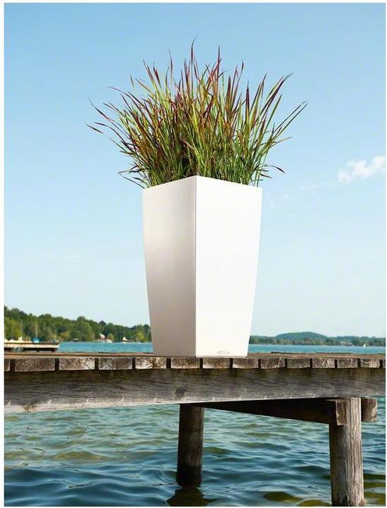 Image du produit Lechuza cubico (39.50 cm)