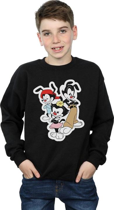 Produktbild Universal Textiles Sweatshirt Jungen Dot Wakko und Yakko (140, 146)
