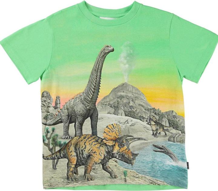 Immagine prodotto Molo T Shirt Rame Dinos (92)