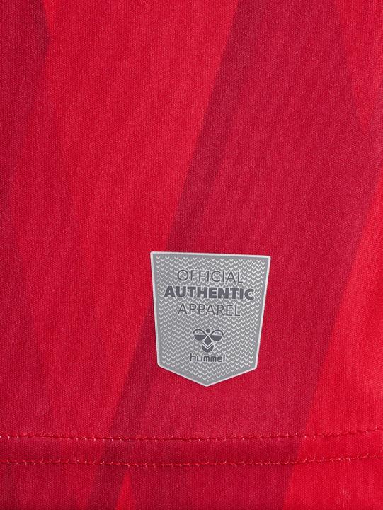Produktbild hummel Heimtrikot Aalborg FC 2023/24 (M)