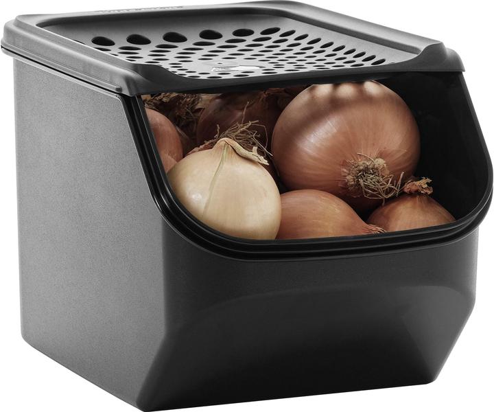 Actual product image Tupperware Onion Smart (5.50 l)