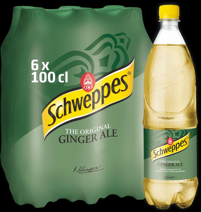 Immagine prodotto Schweppes Ginger Ale (6 x 100 cl)