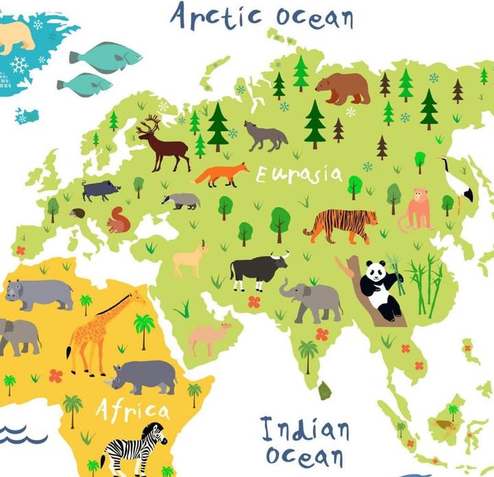 Actual product image Trenddeko animal world map (140 x 105 cm)
