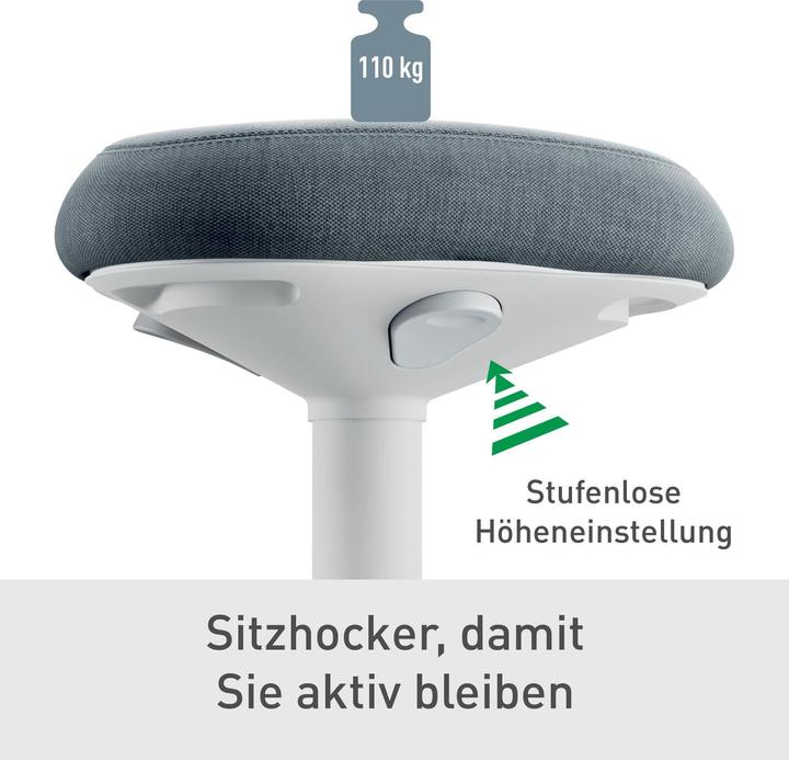 Produktbild Leitz Ergo Active