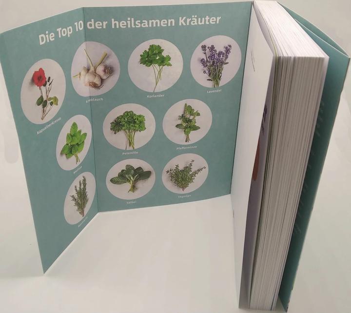 Actual product image 10 Kräuter gegen 100 Krankheiten (German, Franciska Ruby, 2023)