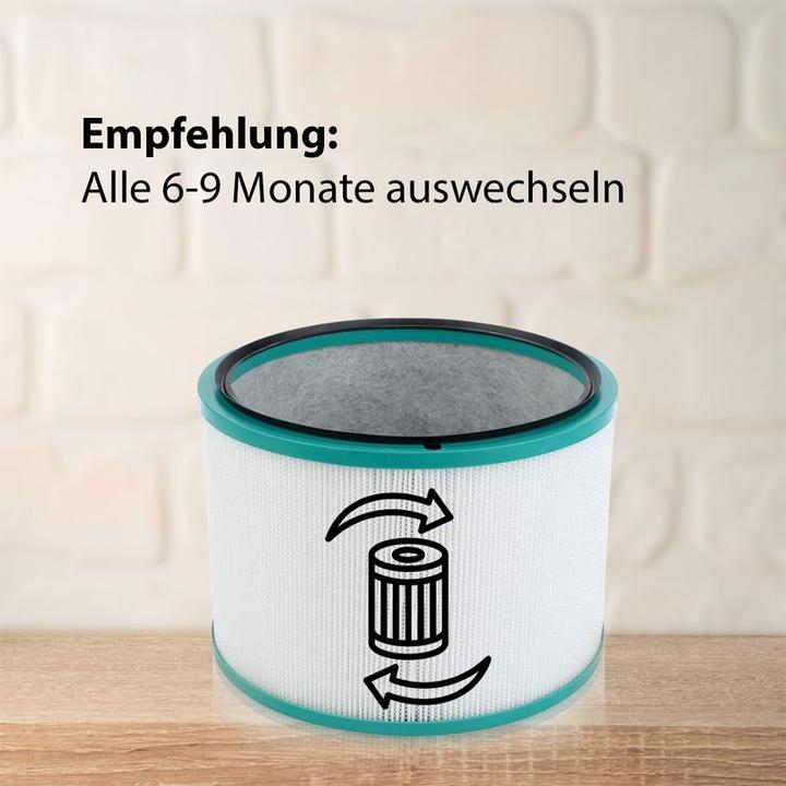 Immagine prodotto Hermex Filtro HEPA alternativo per il filtro del purificatore d'aria Dyson Pure 968101-04 (1 x)