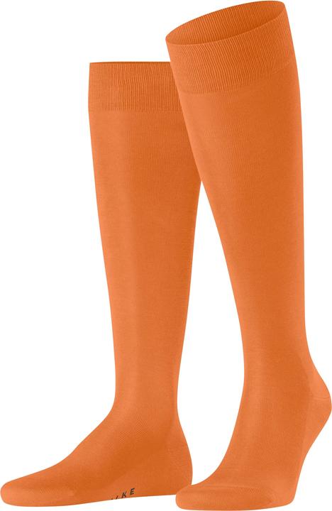 Falke Tiago Herren