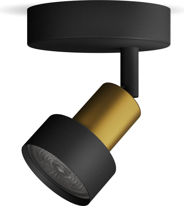 Image du produit Philips Conduit (GU10)