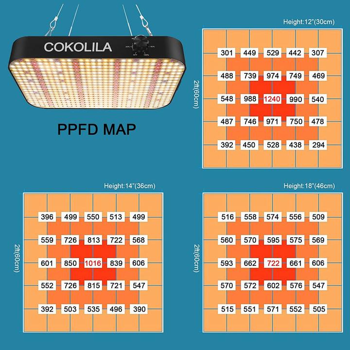 Image du produit Cokolila Lumière de croissance (LED, 240 V)