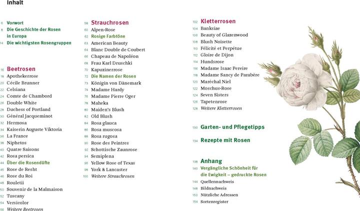 Produktbild Historische Rosen (Deutsch, Sofia Blind, Staatsbibliothek zu Berlin, 2023)
