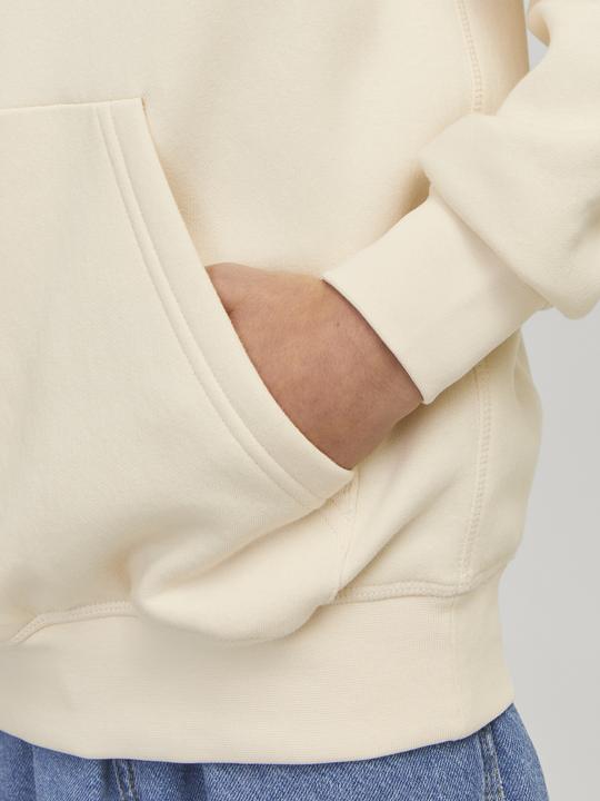 Produktbild Jack & Jones Jorislington Back Sweat Hood Sn Jnr (164)