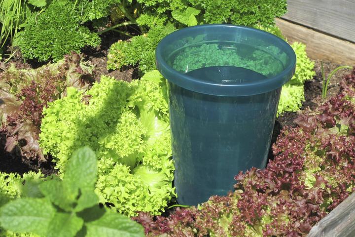 Actual product image Bio Green Hydro Cup Set (Clay cone)