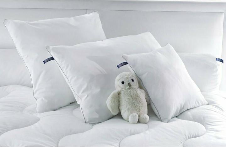 Image du produit La Redoute Interieurs Traversin