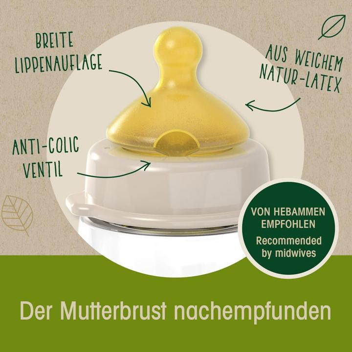 Actual product image NIP Wide Neck Bottle 'Cherry Green' Boy (240 ml)