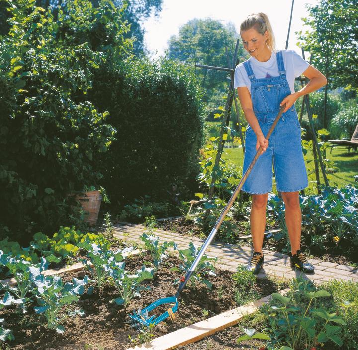 Image du produit Gardena Fraiseuse en étoile