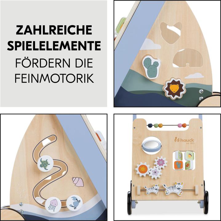Actual product image Hauck Learn to Walk Skills