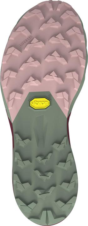 Produktbild Dynafit Alpine Pro 2 Laufschuh (39)