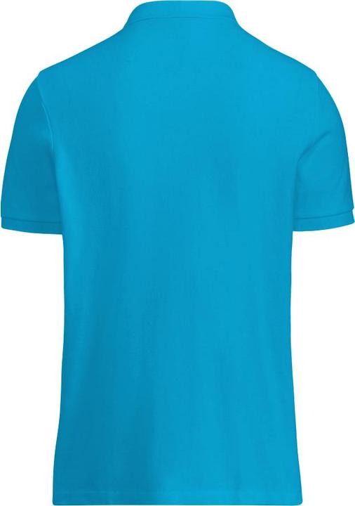 Image du produit Henbury Polo (L)