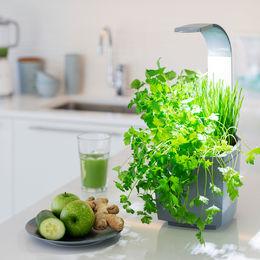 Actual product image Tregren Herb pot T3 (19.50 cm)