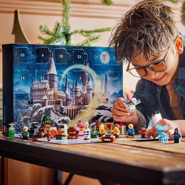 Actual product image LEGO 76456 Confidential