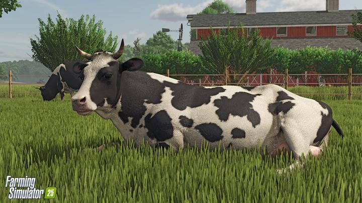Actual product image Giants Software Farming Simulator 25 (PC, DE)