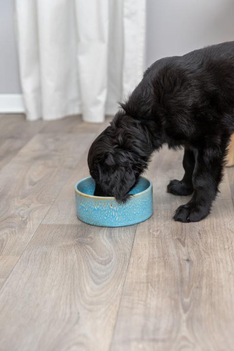 Actual product image Trixie Ceramic bowl (0.40 l)