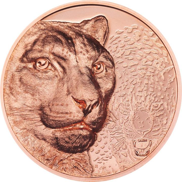 CIT Coin Invest Kupfer Snow Leopard 50g PP - High Relief 2024 (999.90, 2024)