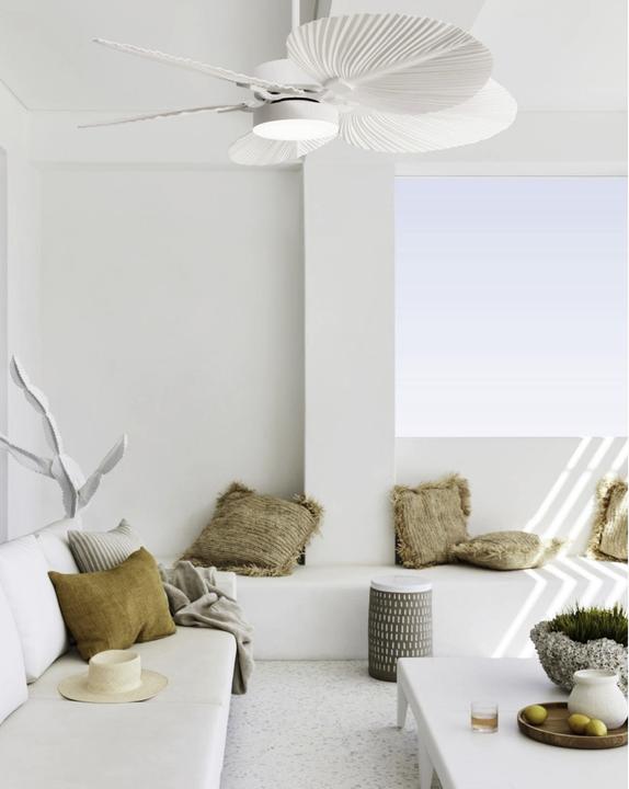 Immagine prodotto Beacon Bali