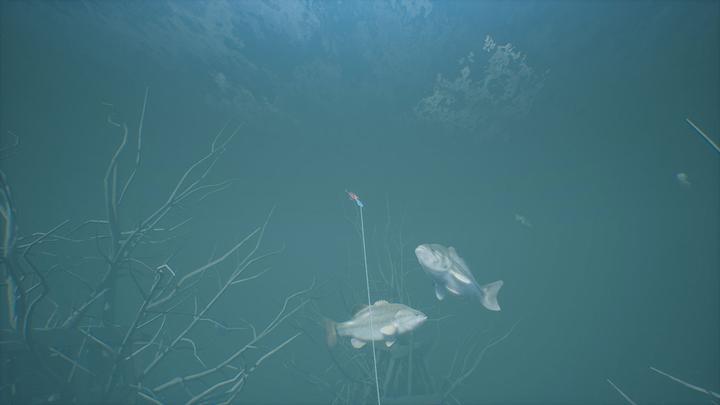 Produktbild Bassmaster Fishing 2022 (PC, DE)