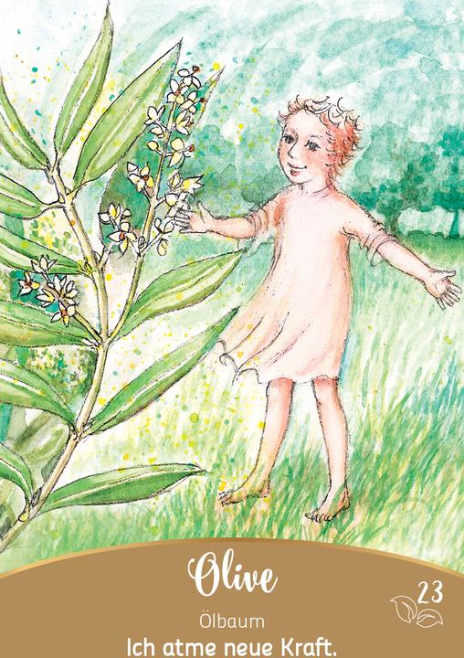 Produktbild Bachblüten-Botschaften - Wie die Seelenpflanzen dir helfen (Deutsch, Irene Drexler, 2024)