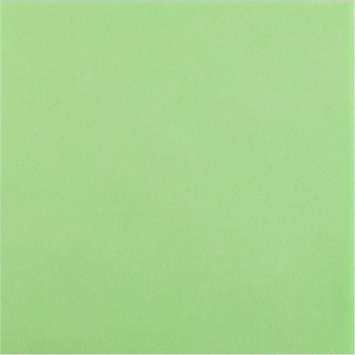 Image du produit Santex Airlaid (25 x, 40 x 40 cm)