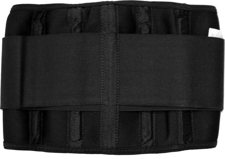 Image du produit Gym Generation Fitness Waist Trimmer Belt
