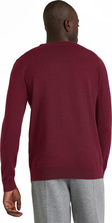 Actual product image Falke BA V-Neck m (S)
