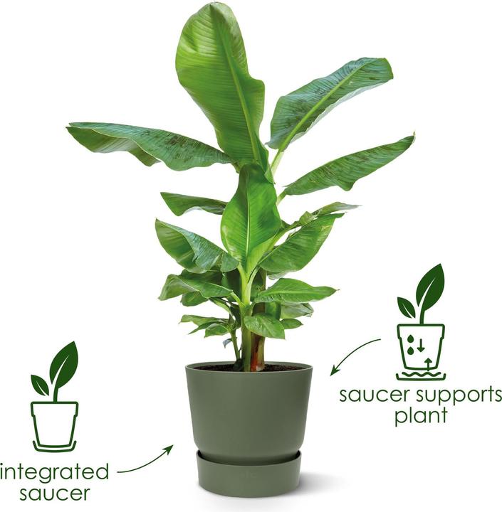 Actual product image Elho Flower pots (29.50 cm)