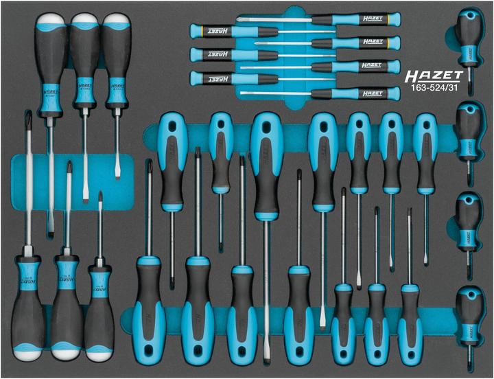 Produktbild HAZET Schraubendreher Satz 163-524/31 ∙ Schlitz Profil, Kreuzschlitz Profil PH, Innen TORX Profil … (Schlitzschrauben, Torx (TX), Phillipps-Kreuzschlitz (PH))