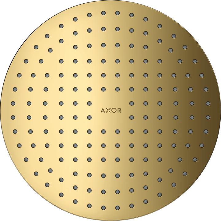 Image du produit Axor ShowerSolutions 250 Douchette suspendue 2 jets, montage en saillie au plafond (18 l/min)