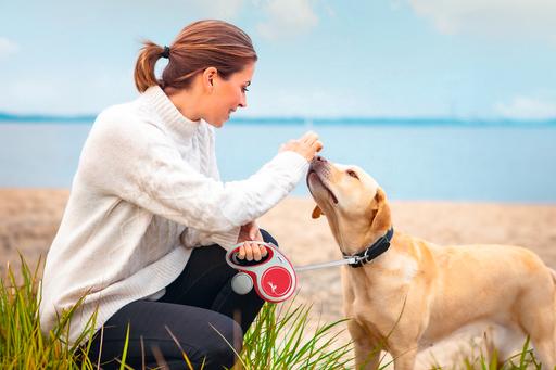 Produktbild Flexi New Comfort Gurt (M, Hund, Spazieren)