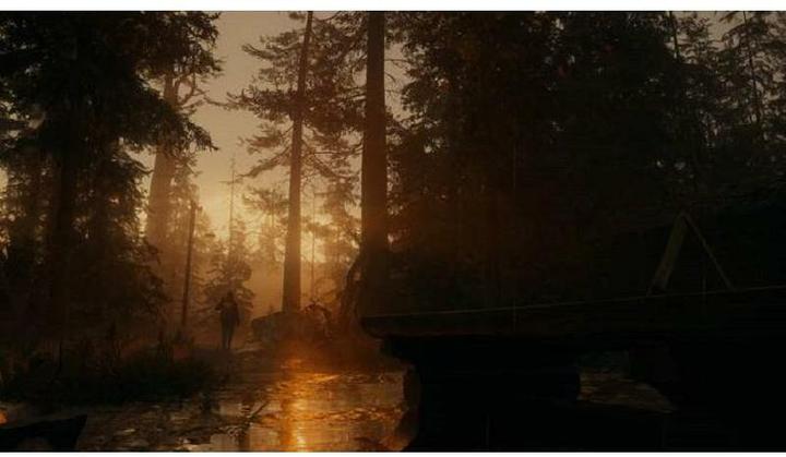 Image du produit Epic Alan Wake 2 - Édition Deluxe (Xbox Series X, DE)