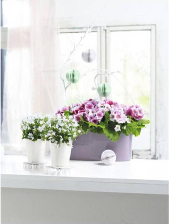 Produktbild Lechuza Mini Deltini (10 cm)