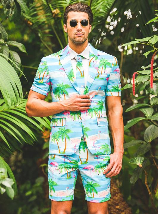 Produktbild OppoSuits Flaminguy (60)